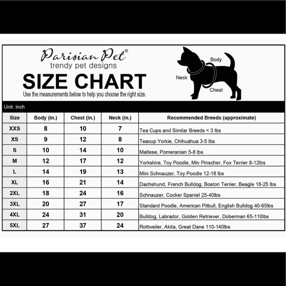 Sassy Parisian Pet embroidery t-shirt! - Picture 4 of 4